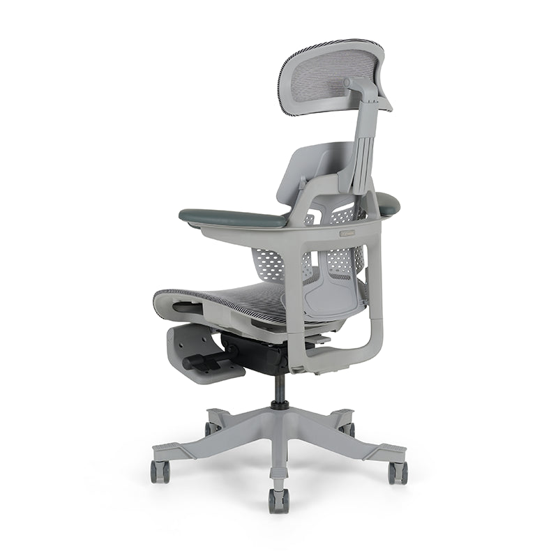 Shappa Paddy Chair（Ergonomic Correction)