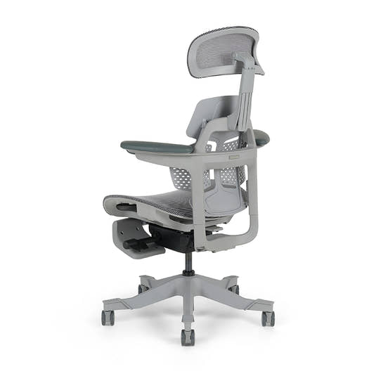 Shappa Paddy Chair（Ergonomic Correction)