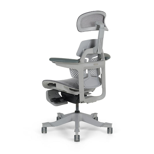 Shappa Paddy Chair（Ergonomic Correction)