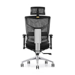 Shappa A9 Mesh Ergonomic Chair(Black) - Shappa