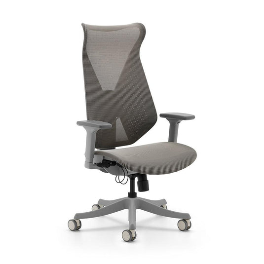 Shappa H350 Mesh Ergonomic Chair (Grey) - Shappa