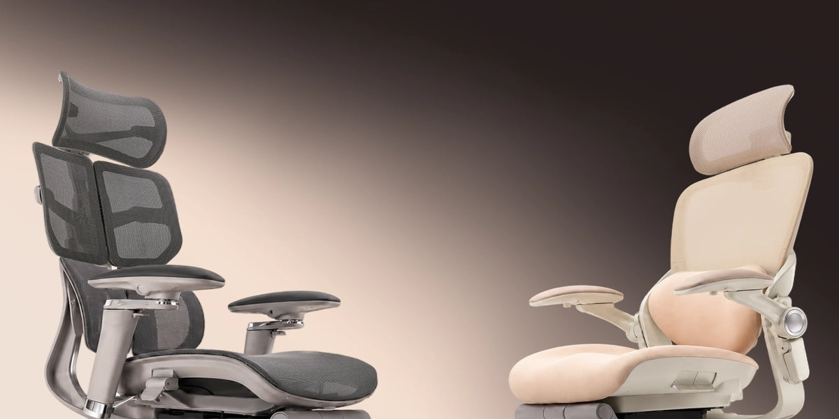 Ergonomic Office Chairs