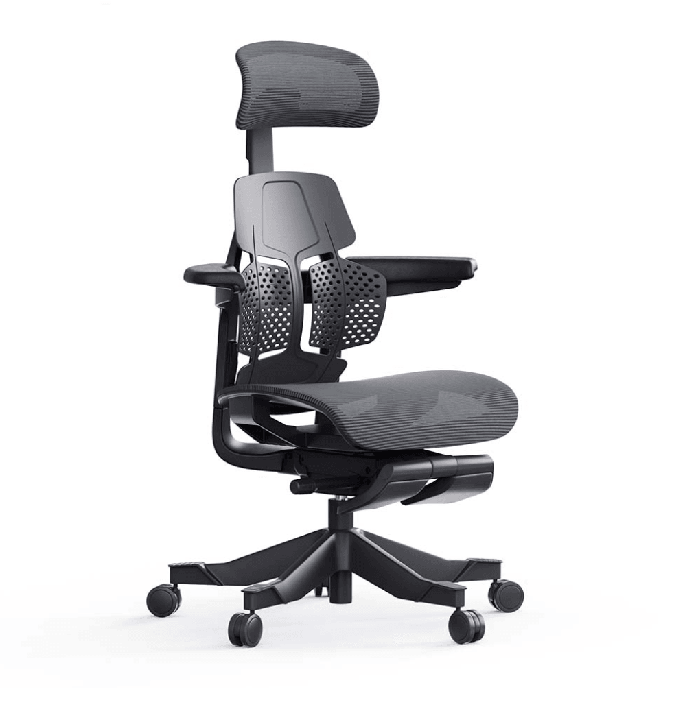 Shappa Paddy Chair（Ergonomic Correction) - Shappa