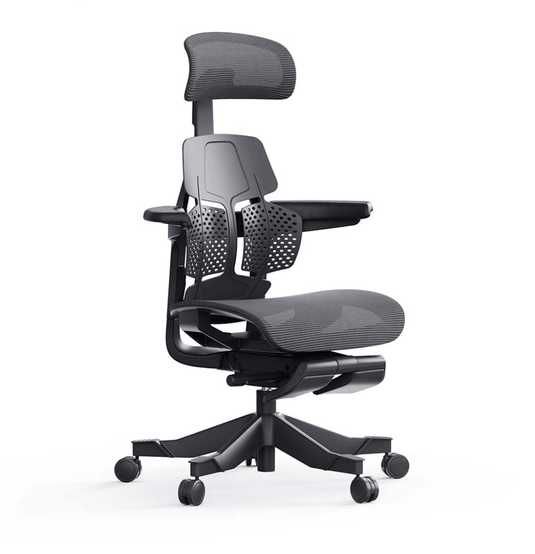 Shappa Paddy Chair（Ergonomic Correction) - Shappa