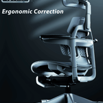 Shappa Paddy Chair（Ergonomic Correction) - Shappa