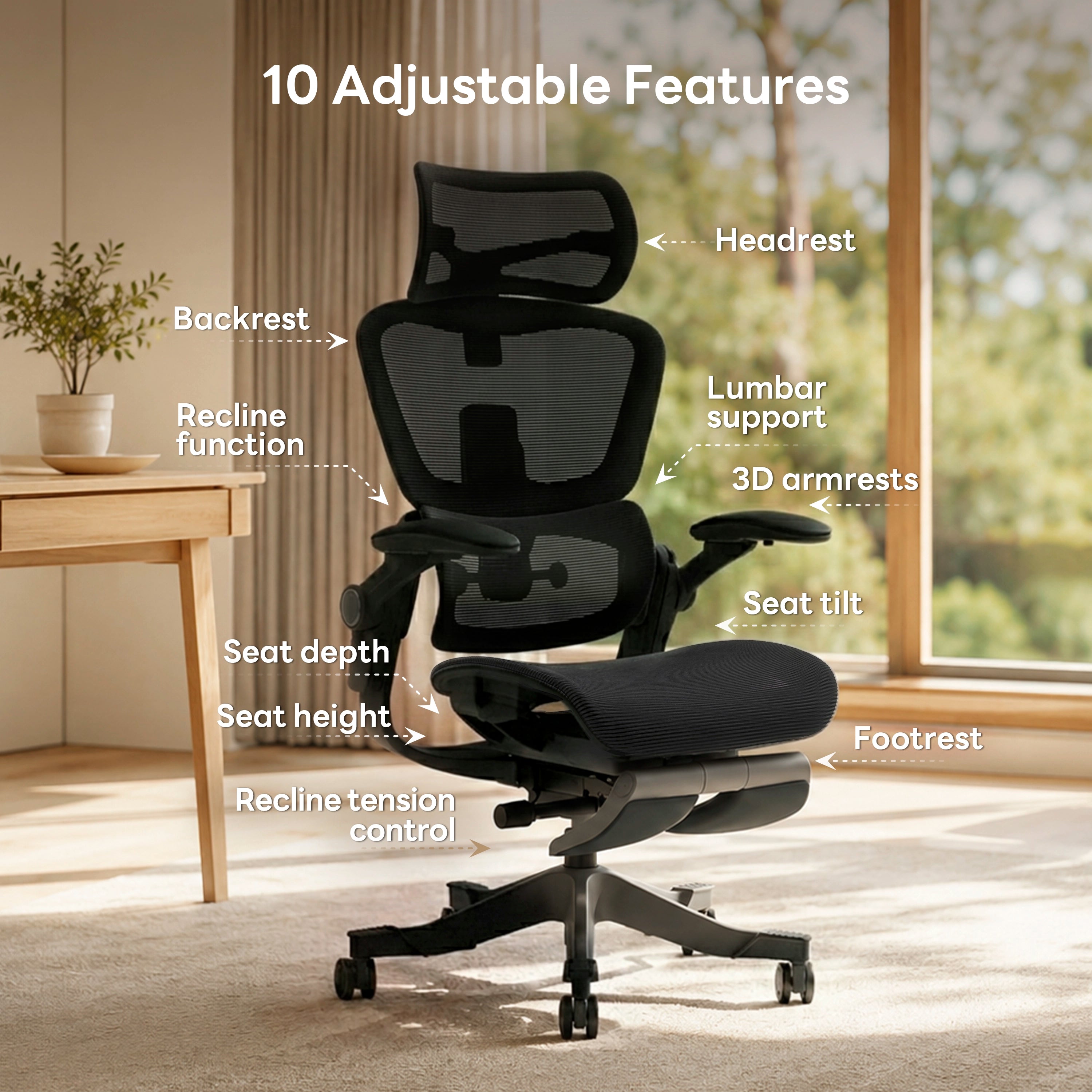 Shappa Smile Pro ergonomic chair features overview