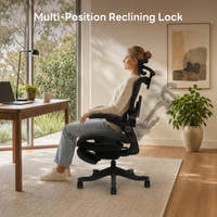 Shappa Smile Pro ergonomic chair recline function