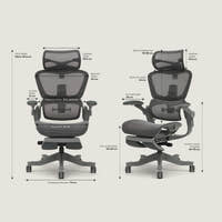 Shappa Smile Pro ergonomic chair dimensions