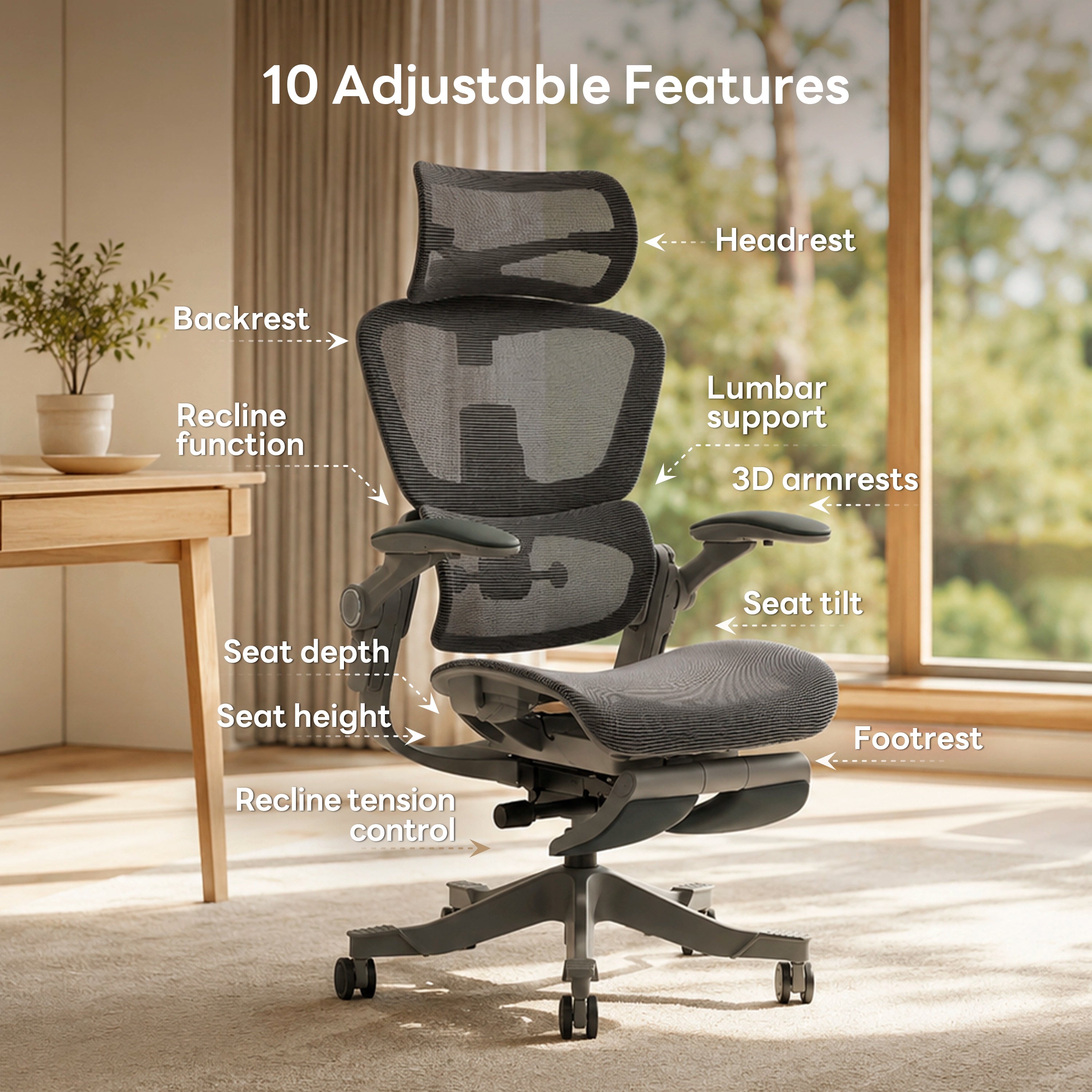 Shappa Smile Pro ergonomic chair features overview