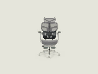 Spencer Ergonomic Chair