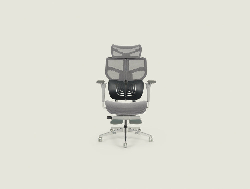 Grey Spencer with TPU lumbar support