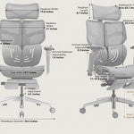 Shappa Spencer ergonomic office chair size chart showing seat, armrest, and headrest dimensions