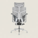 Shappa Spencer ergonomic office chair back view showing adjustable lumbar support frame