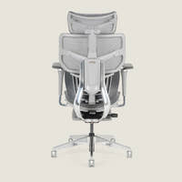 Shappa Spencer ergonomic office chair back view showing adjustable lumbar support frame
