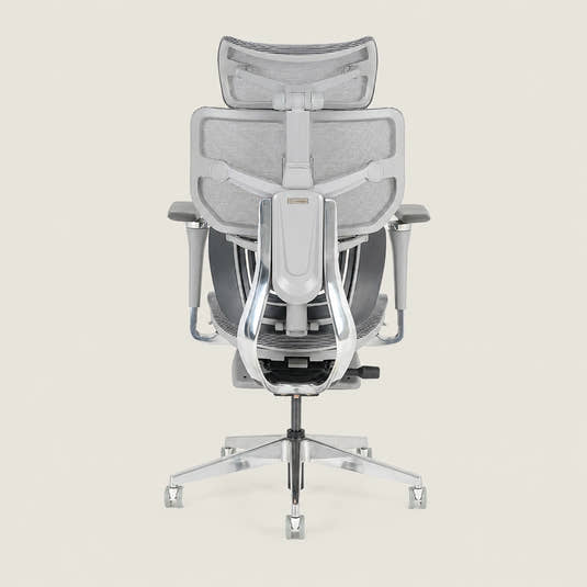 Shappa Spencer ergonomic office chair back view showing adjustable lumbar support frame
