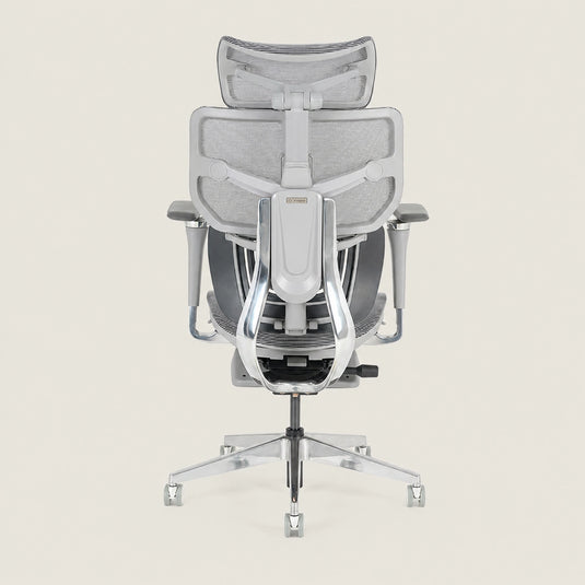 Shappa Spencer ergonomic office chair back view showing adjustable lumbar support frame