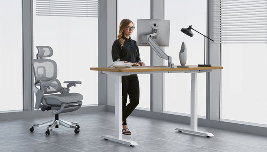 MS2 - Electric Stand Up Desk Frame - Square tube - Shappa