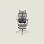 Spencer Ergonomic Chair - Shappa