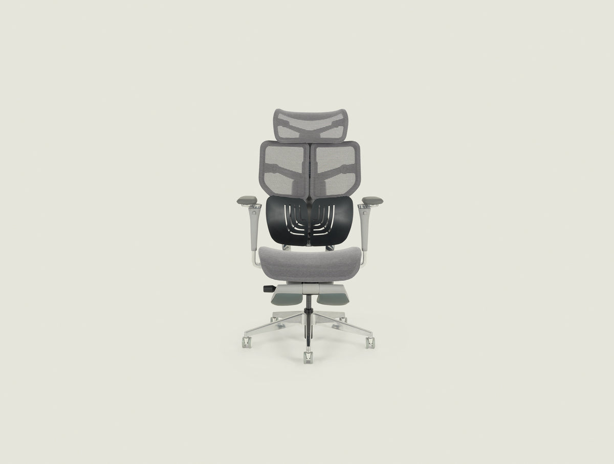 Spencer Ergonomic Chair