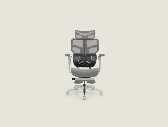 Shappa Spencer Ergonomic Chair