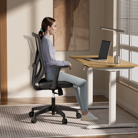 Shappa A19 black mesh office chair paired with MO2 electric standing desk in a home office setup