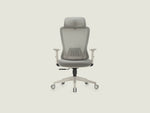 Shappa A7 ergonomic office chair with adjustable lumbar support and 2D headrest