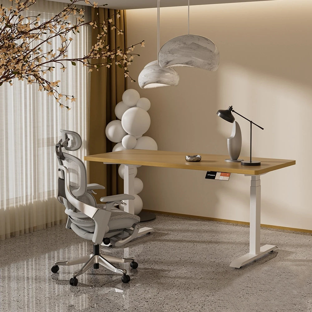 Shappa ergonomic office chair and height-adjustable standing desk in a modern home office setup