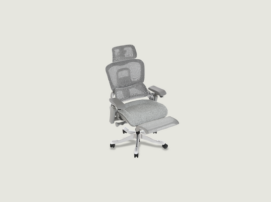S5 Ergonomic Chair