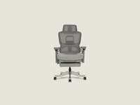 Shappa S5 ergonomic office chair with adjustable lumbar support and breathable mesh backrest