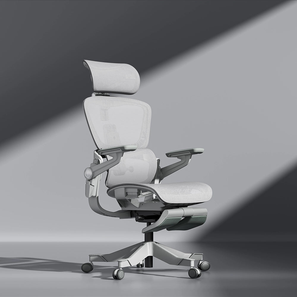 Ergonomic Chairs