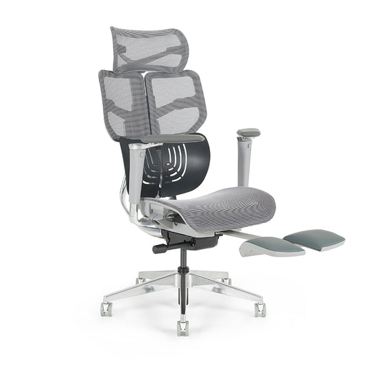 Spencer Ergonomic Chair