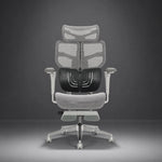 Spencer Ergonomic Chair