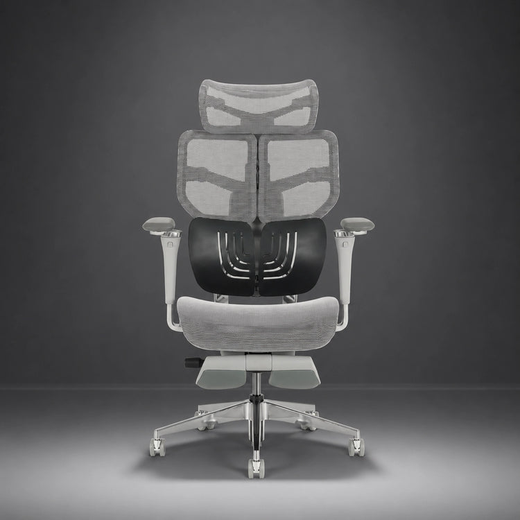 Shappa Spencer ergonomic swivel office chair with adjustable armrests and headrest, grey mesh
