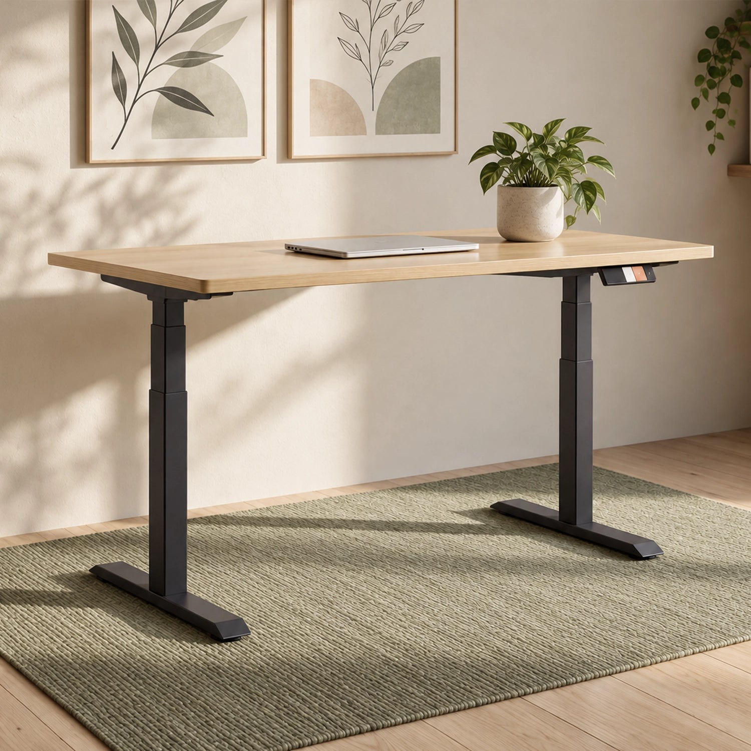 MO2 Electric Standing Desk in a warm home office